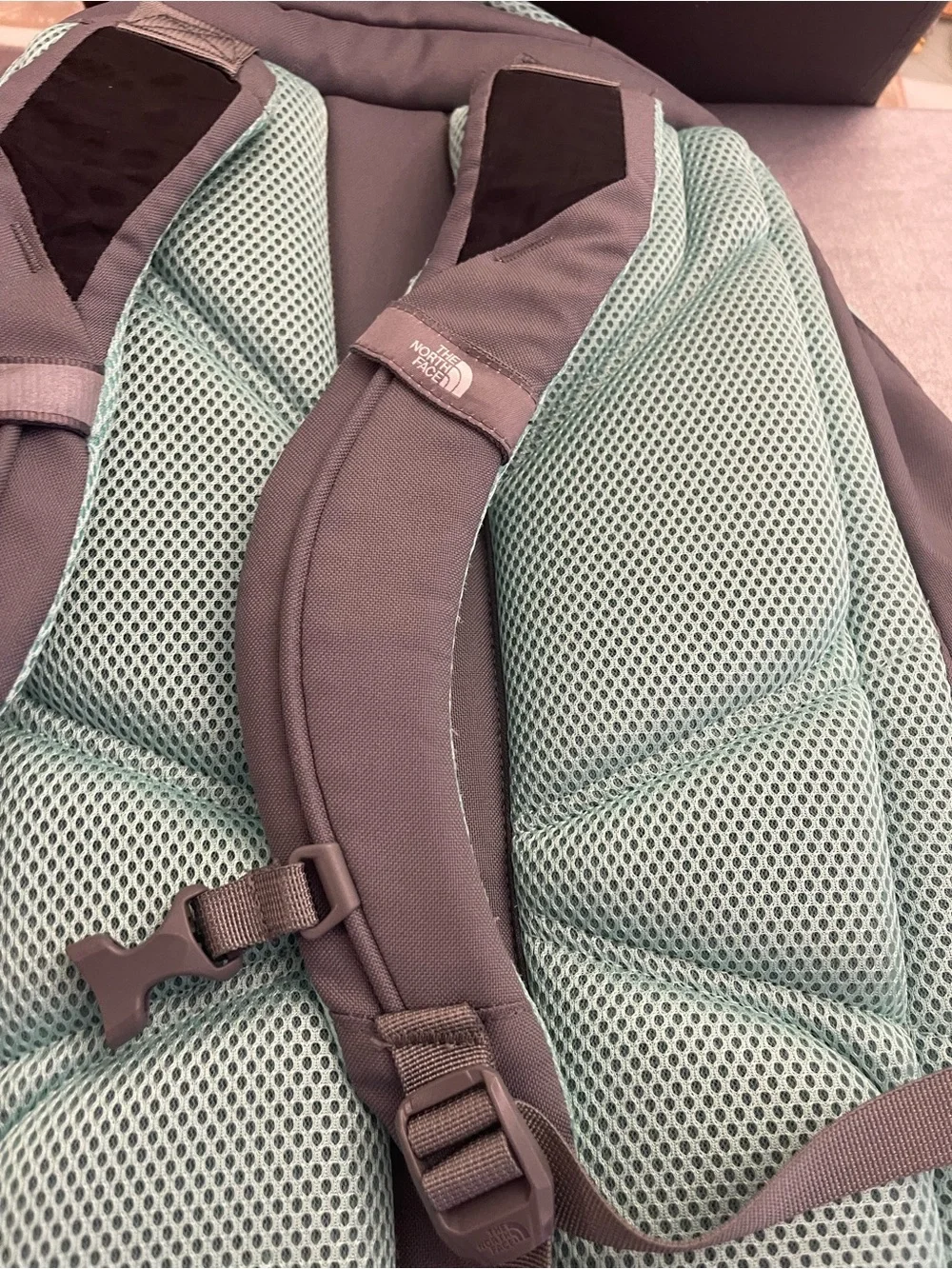The North Face Mint and Gray Backpack Organizer